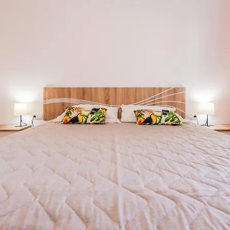 Hibisco En Eureka * 德尔锡伦西奥海岸