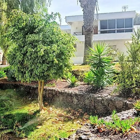 Hibisco En Eureka * 德尔锡伦西奥海岸