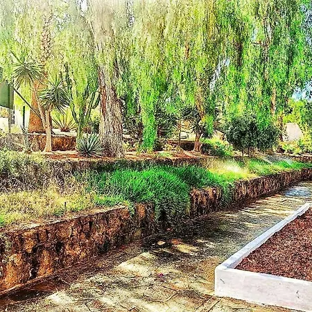 Hibisco En Eureka * 德尔锡伦西奥海岸